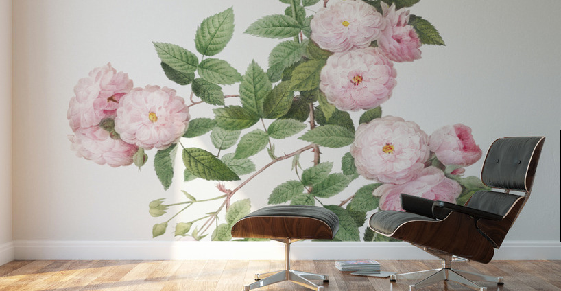 Pink baby roses Wall Murals