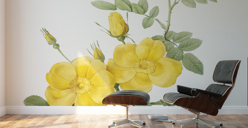Yellow sweetbriar roses Wall Murals