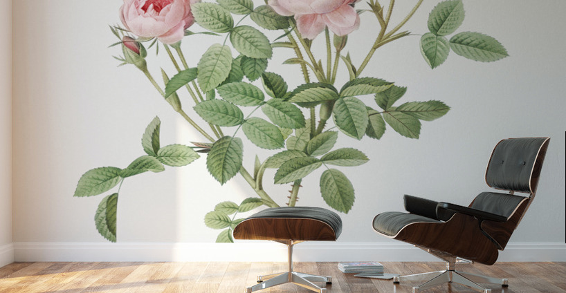 Blooming pink rosebush Wall Murals