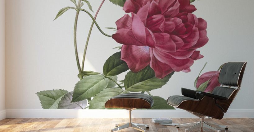 Red bengal rose Wall Murals