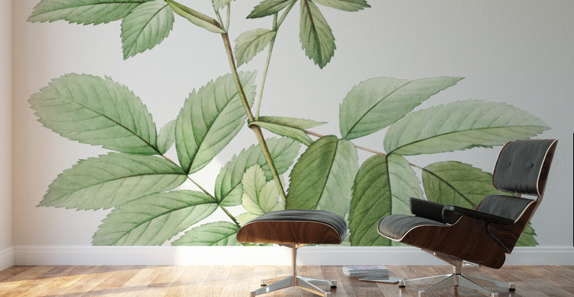 Pink alpine roses Wall Murals