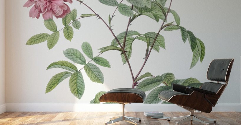 Vintage cinnamon rose Wall Murals