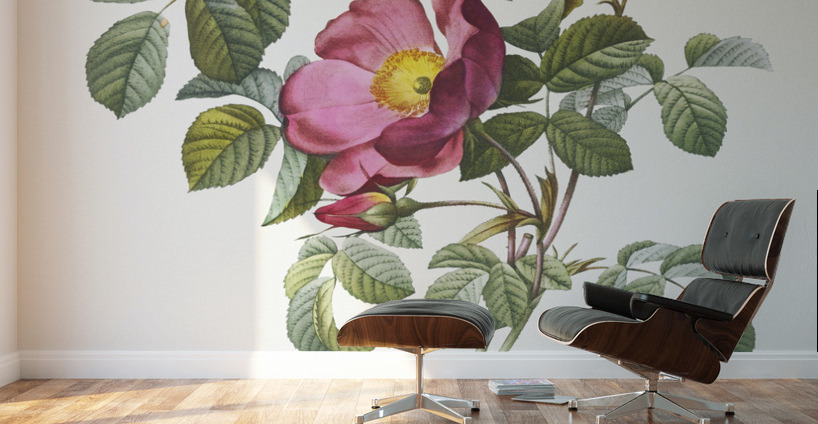 Rose of love in bloom Wall Murals