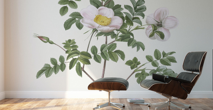 Vintage pink rosebush Wall Murals