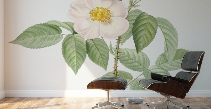 Blooming damask roses Wall Murals