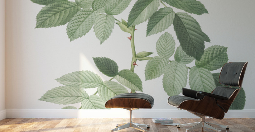 Pink apple rose Wall Murals