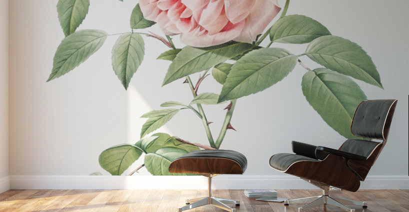 Blooming pink roses Wall Murals