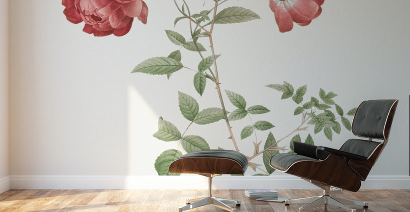 Vintage red rose Wall Murals
