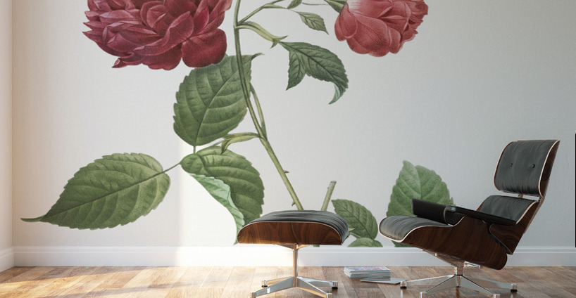Anemone flowered rose Wall Murals