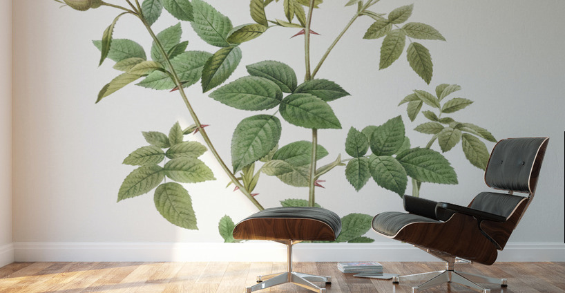 Pink flowering rosebush Wall Murals