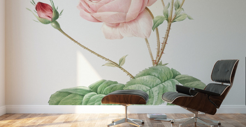 Vintage Provence rose Wall Murals