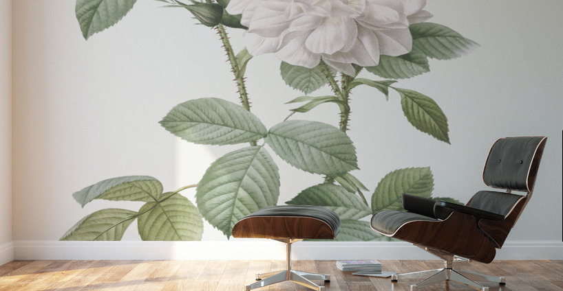 Blooming autumn damask rose Wall Murals