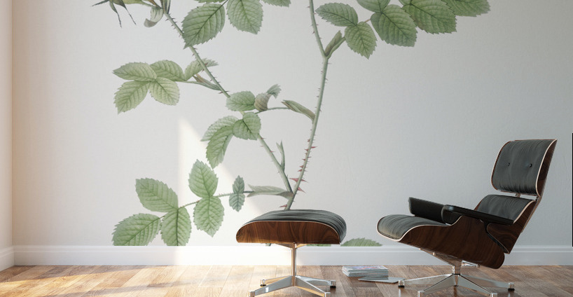 Pink sweetbriar roses Wall Murals