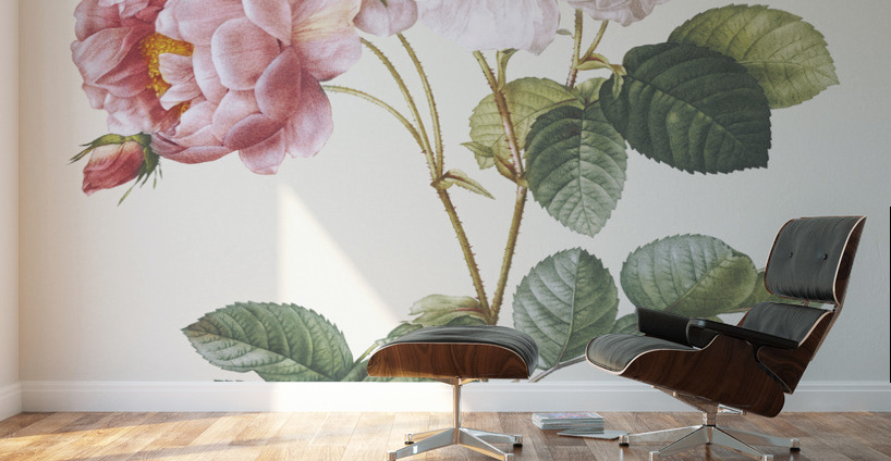 Pink damskus rose Wall Murals