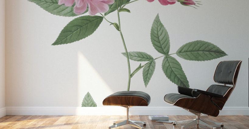 Blooming hudson rose Wall Murals