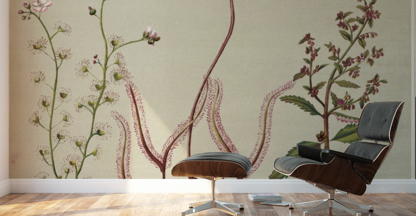 Sarah Featon 003 Wall Murals