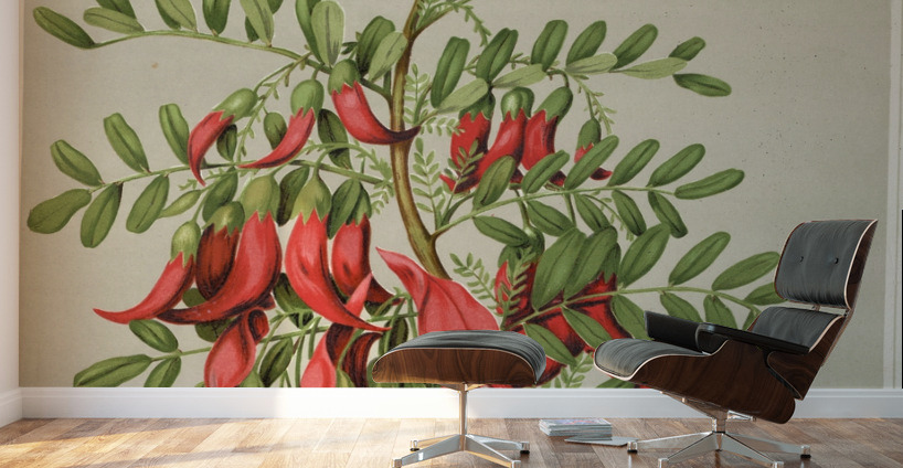 Sarah Featon 022 Wall Murals