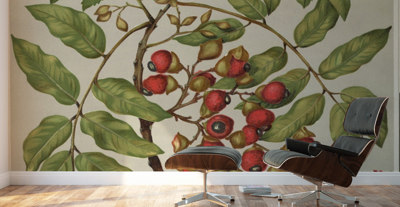 Sarah Featon 034 Wall Murals