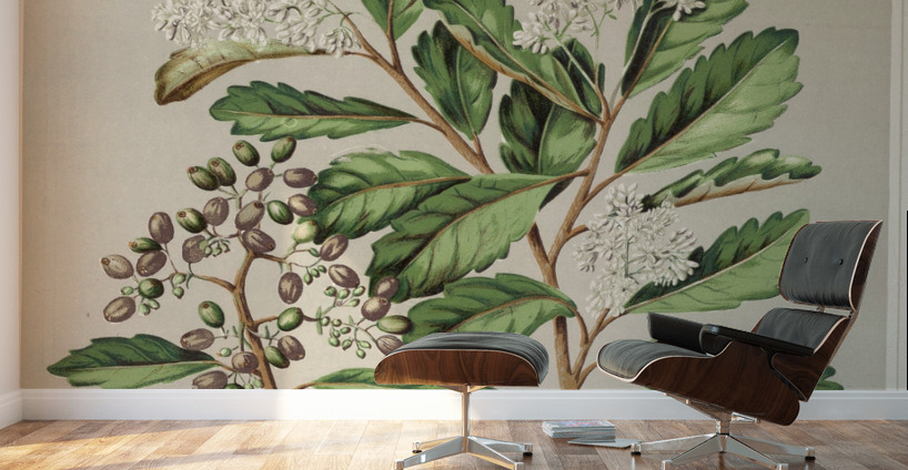 Sarah Featon 019 Wall Murals