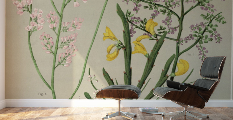 Sarah Featon 002 Wall Murals