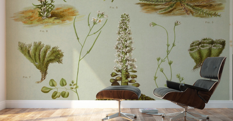 Sarah Featon 017 Wall Murals