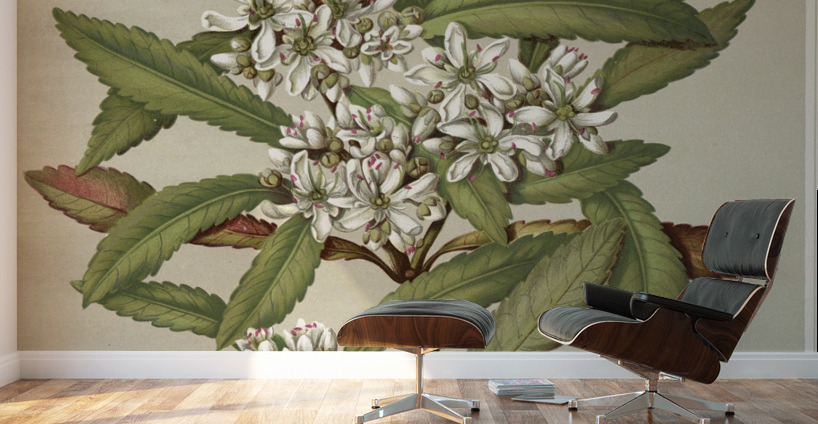 Sarah Featon 031 Wall Murals