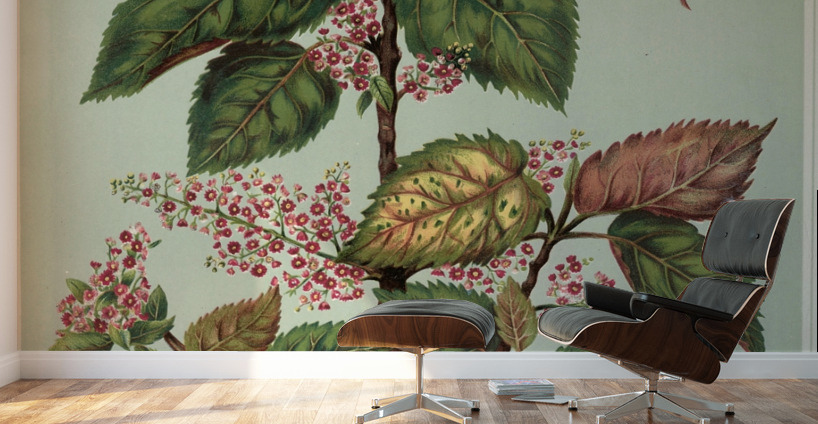 Sarah Featon 025 Wall Murals