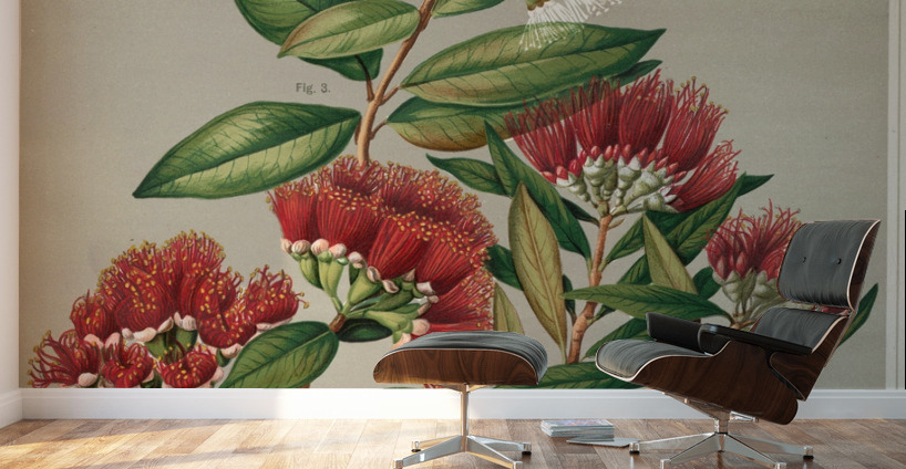 Sarah Featon 005 Wall Murals