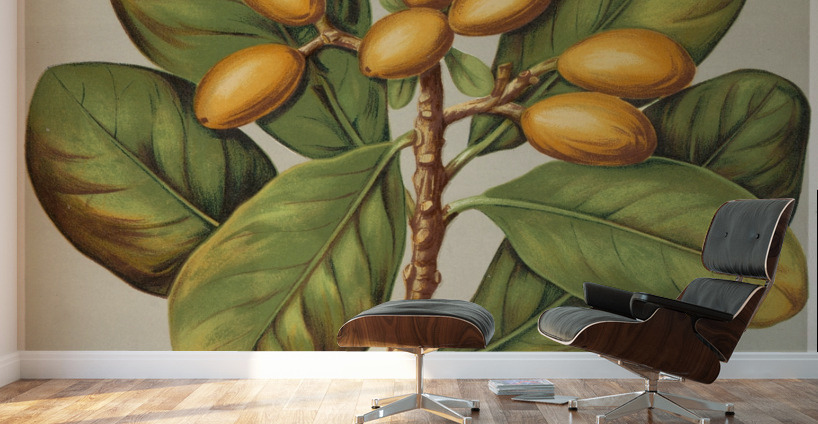 Sarah Featon 020 Wall Murals