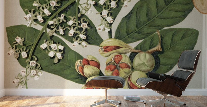 Sarah Featon 021 Wall Murals