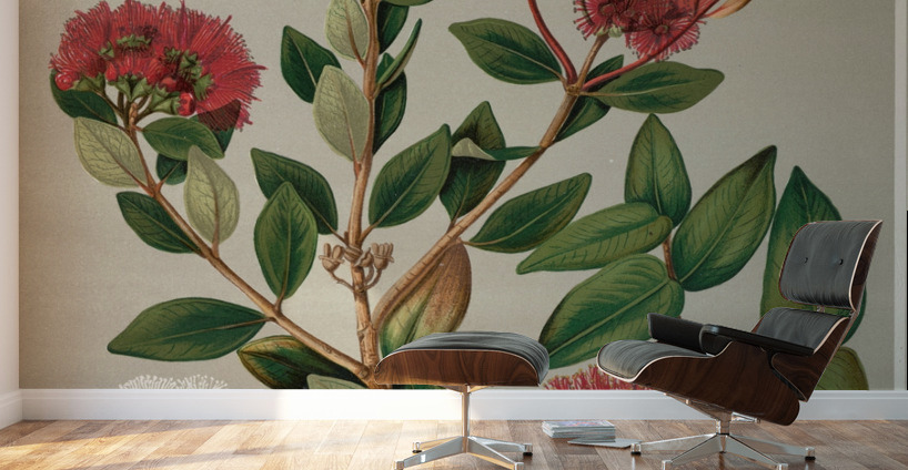 Sarah Featon 001 Wall Murals