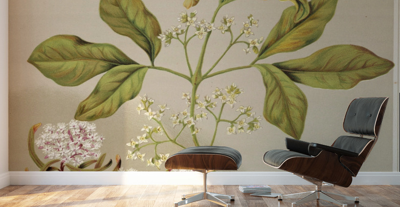 Sarah Featon 006 Wall Murals