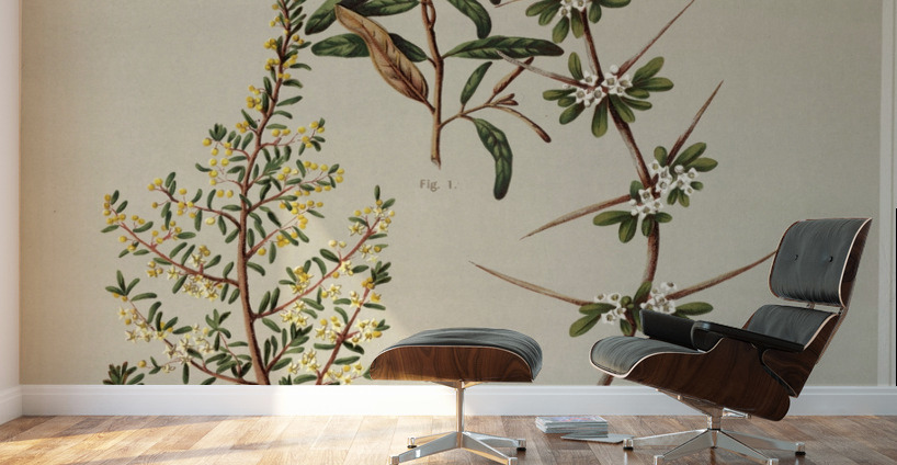 Sarah Featon 012 Wall Murals