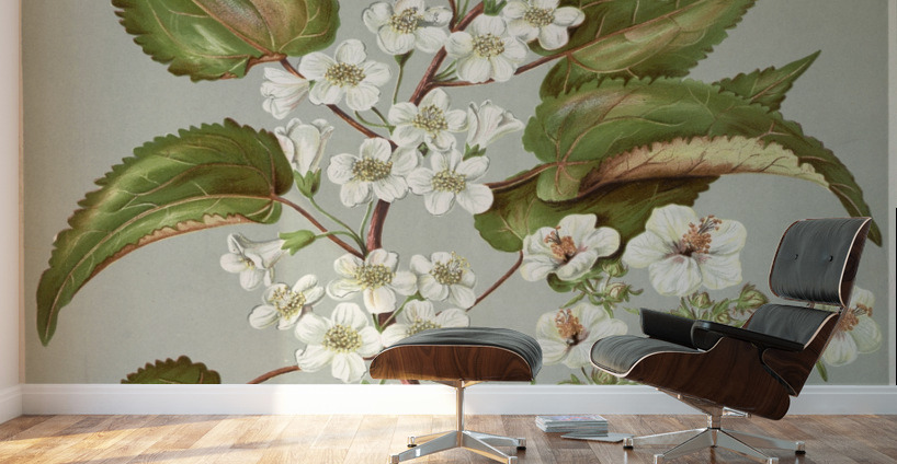 Sarah Featon 016 Wall Murals