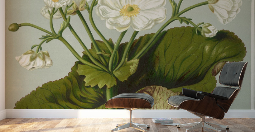 Sarah Featon 033 Wall Murals