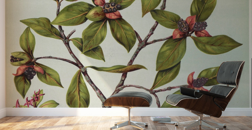 Sarah Featon 027 Wall Murals