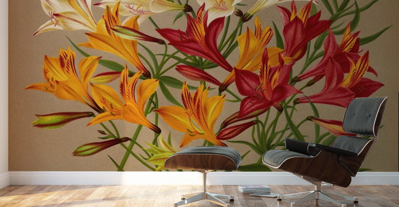 Album van Eeden : Haarlems flora : 1872-1881 Wall Murals