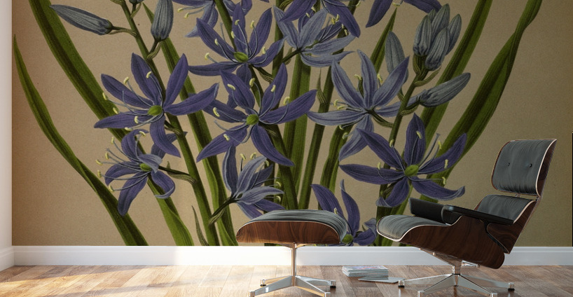 Album van Eeden : Haarlems flora : 1872-1881 Wall Murals