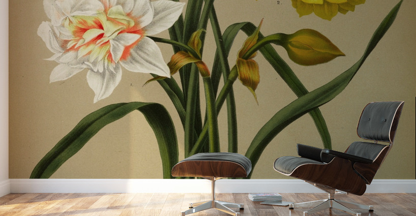 Album van Eeden : Haarlems flora : 1872-1881 Wall Murals