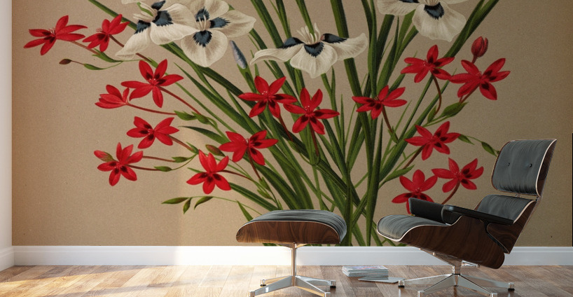 Album van Eeden : Haarlems flora : 1872-1881 Wall Murals