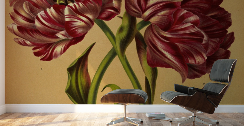 Album van Eeden : Haarlems flora : 1872-1881 Wall Murals