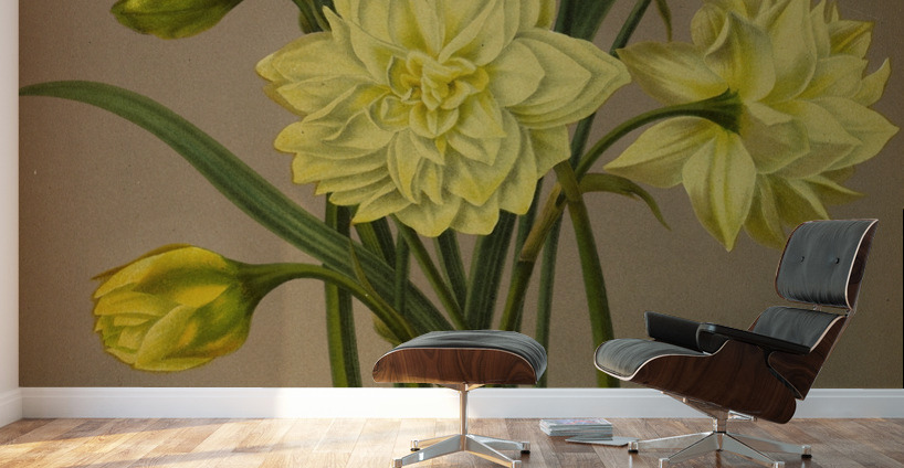 Album van Eeden : Haarlems flora : 1872-1881 Wall Murals