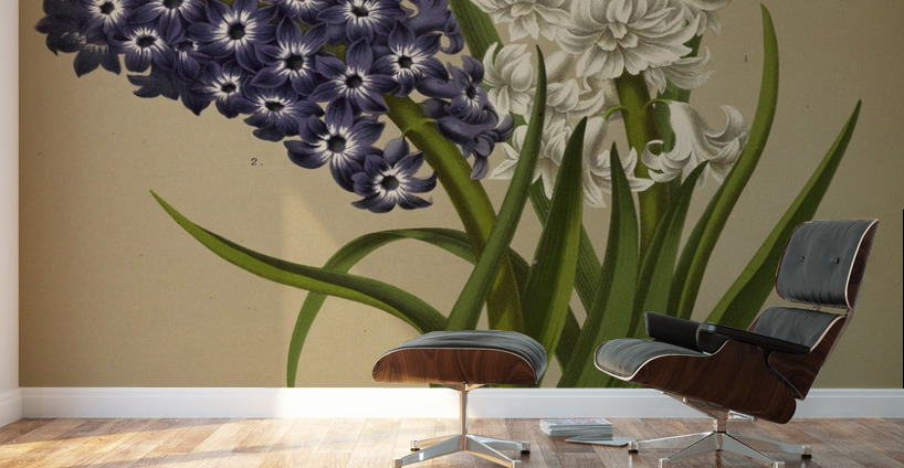 Album van Eeden : Haarlems flora : 1872-1881 Wall Murals