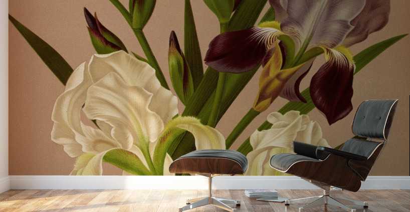 Album van Eeden : Haarlems flora : 1872-1881 Wall Murals