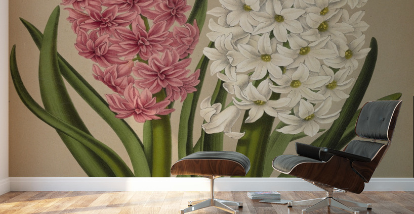 Album van Eeden : Haarlems flora : 1872-1881 Wall Murals