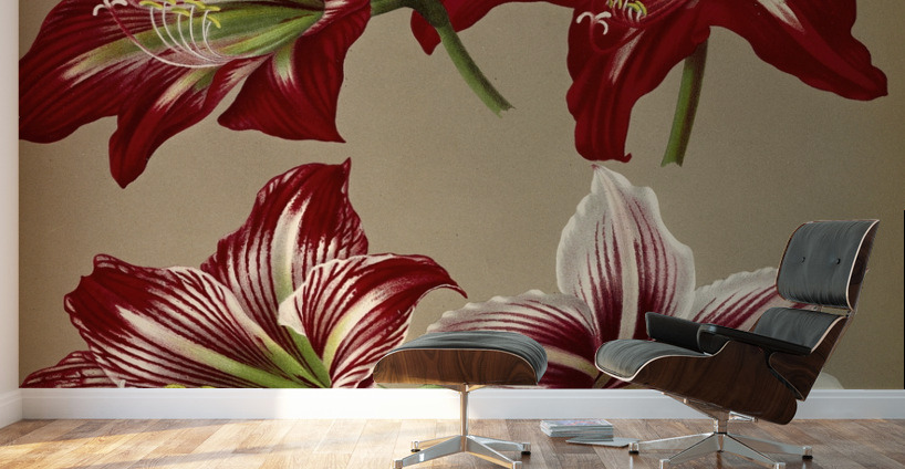 Album van Eeden : Haarlems flora : 1872-1881 Wall Murals