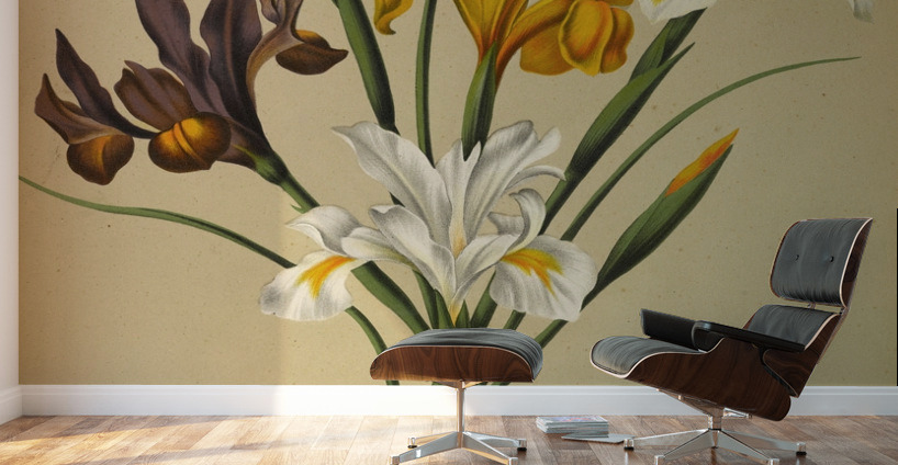 Album van Eeden : Haarlems flora : 1872-1881 Wall Murals