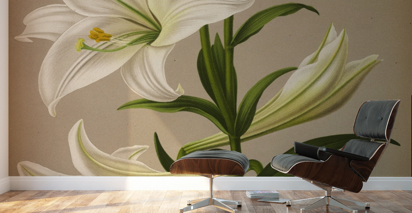 Album van Eeden : Haarlems flora : 1872-1881 Wall Murals