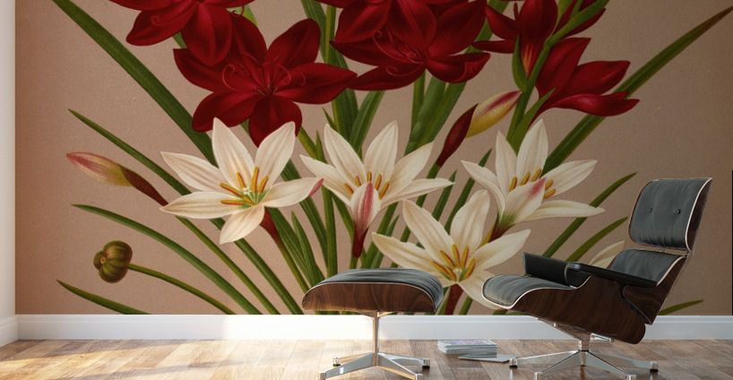 Album van Eeden : Haarlems flora : 1872-1881 Wall Murals