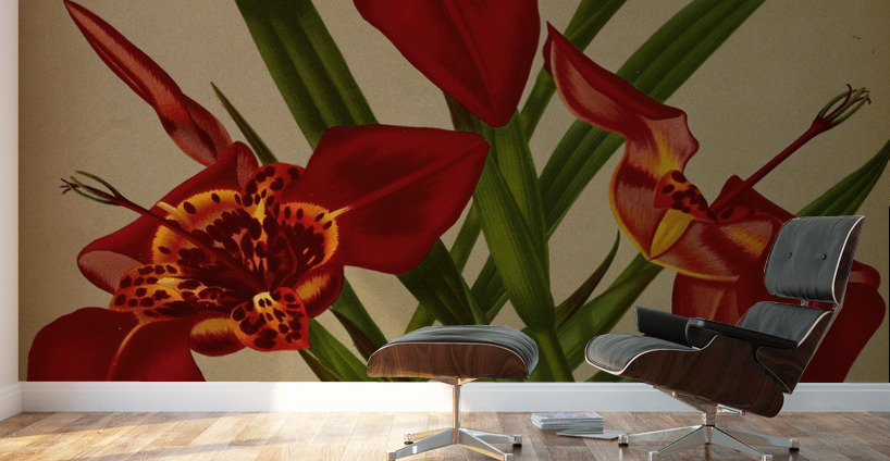 Album van Eeden : Haarlems flora : 1872-1881 Wall Murals